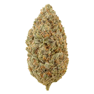 Wellford Aquaponic 26/1 ATG – Atlantic Glue