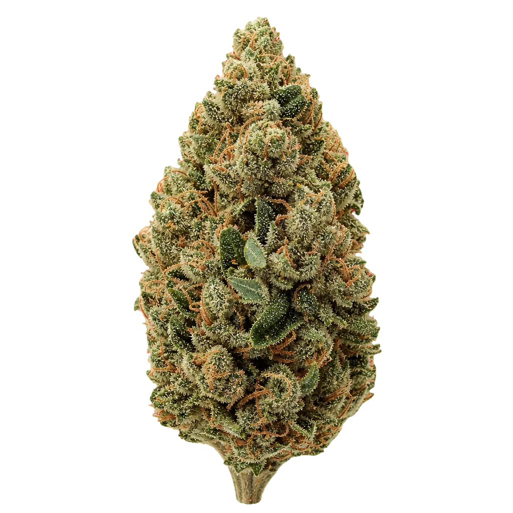 Cannabis flos 23/1 ES Ku. Dos Y Dos DP