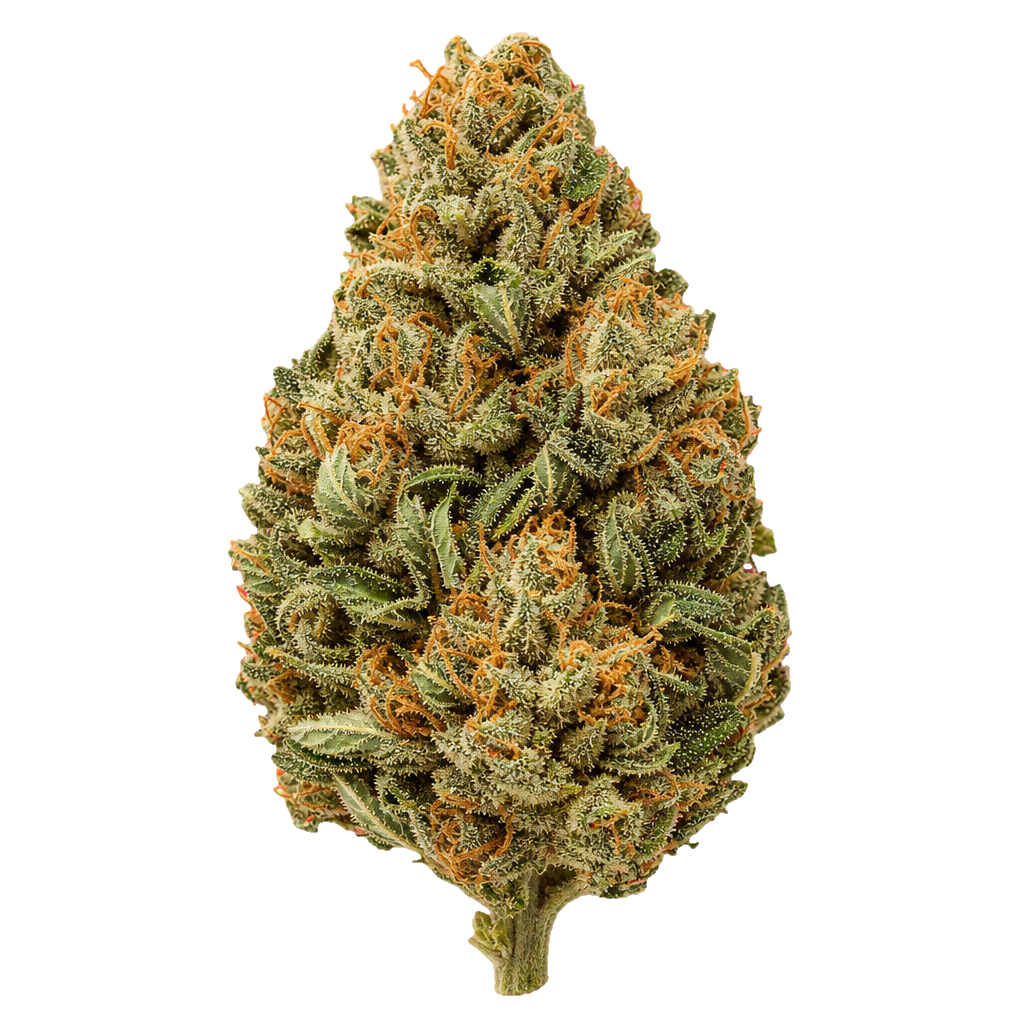 Pink Gas