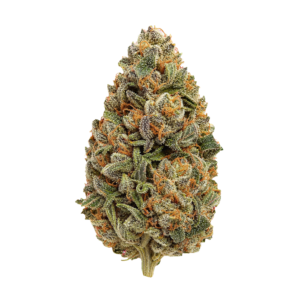 Tropic Candy