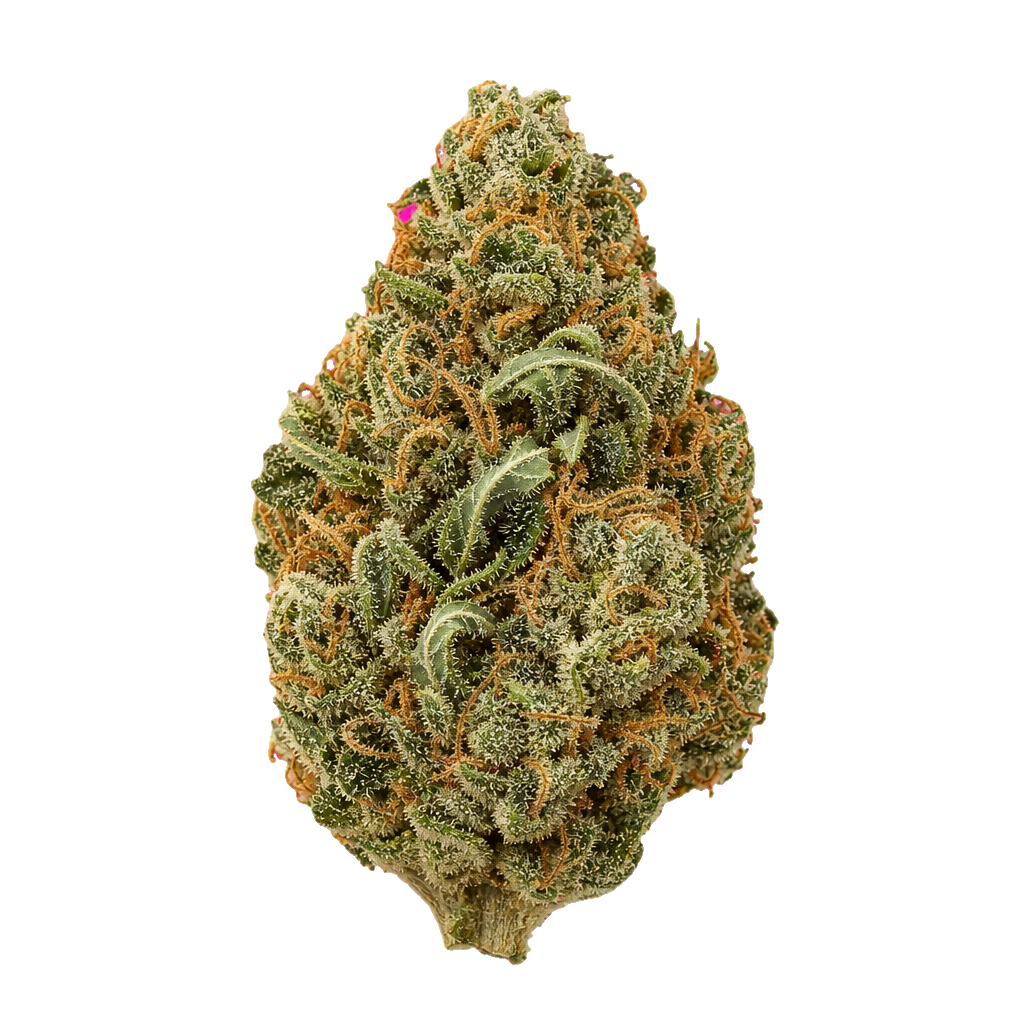 Gas Pack