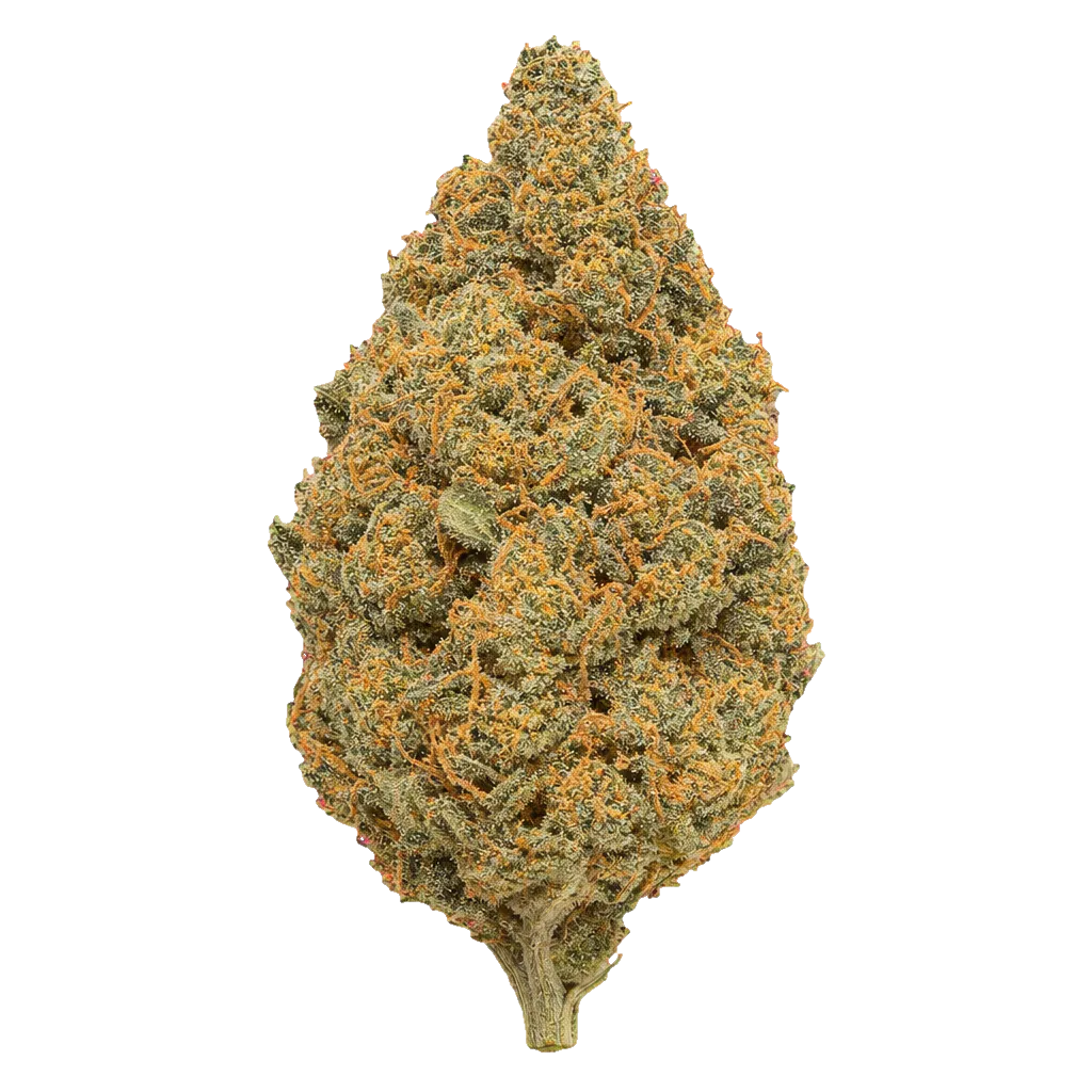 Pedanios 25/1 FLH-CA Frozen Lemon Haze