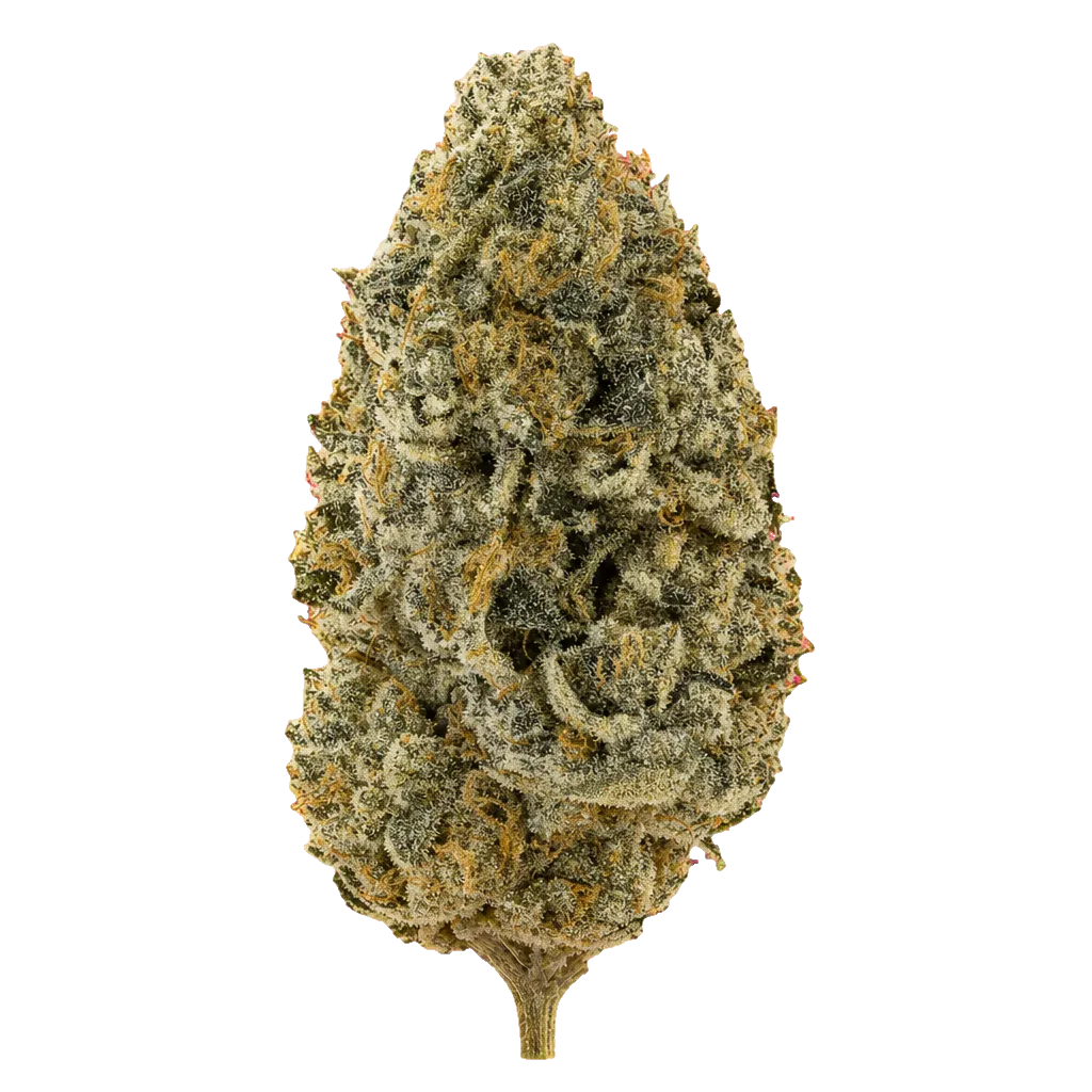 avaay 34/1 JFP Jet Fuel Pie