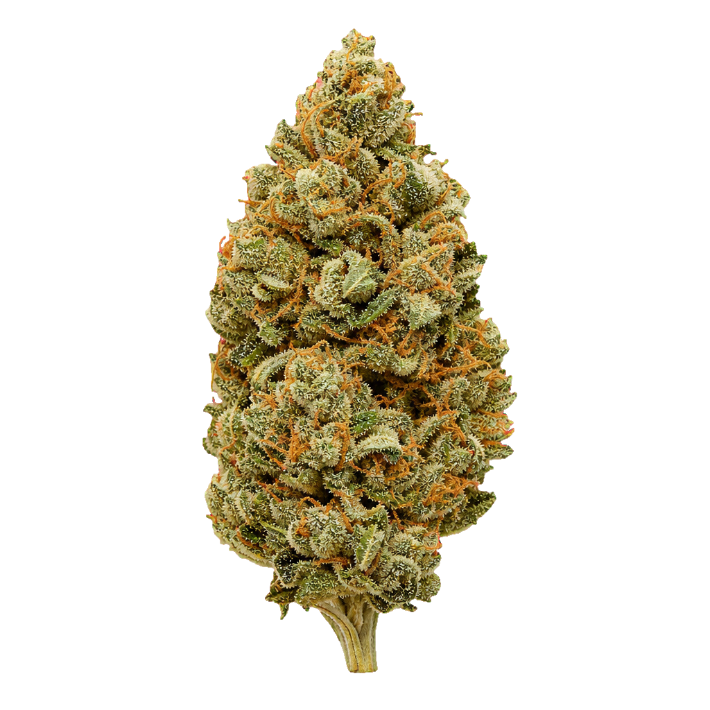 Cactus Leaker