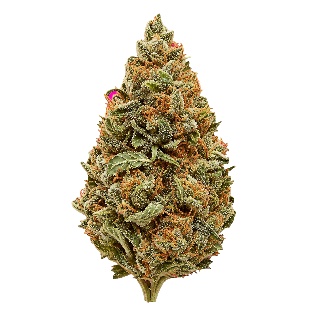 Gas Cream Cake