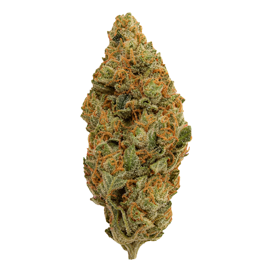 Frost Boof