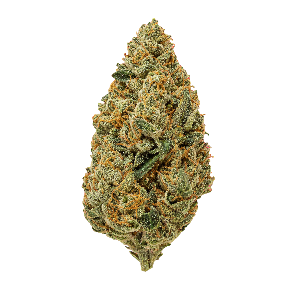 Cannabis product 28/1 NICE JFP Jet Fuel Pie