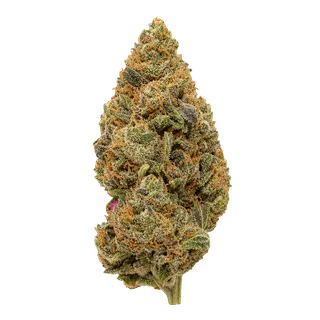 HiDealz 21/1 MS CBG – Citrus Bliss Gelato