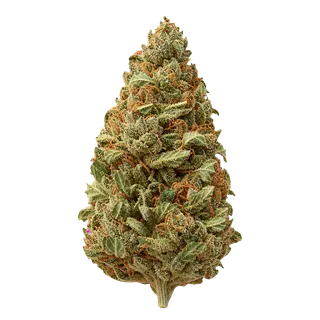 Cannabis flos 16/1 LS Ku. GG "Galaxy Glaze"