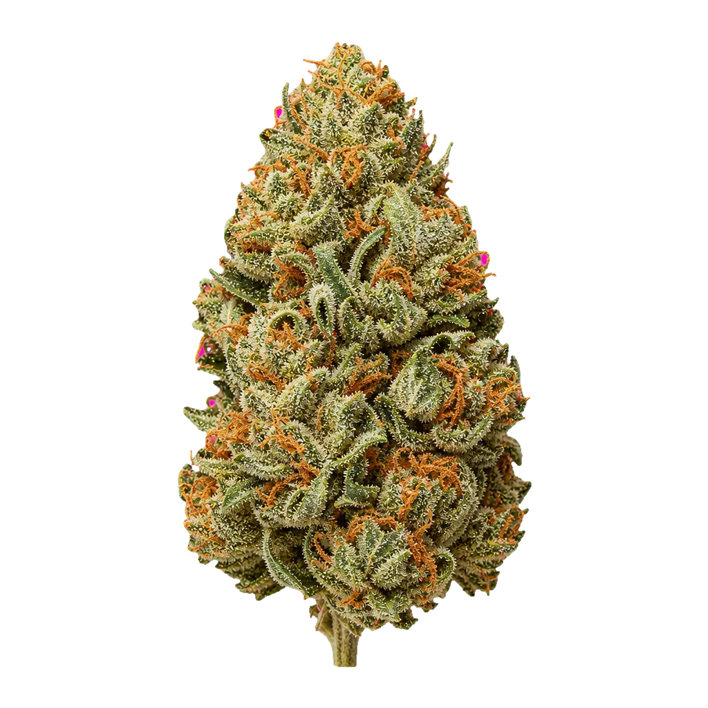 Khiron PP 29/1 Peggys Puff