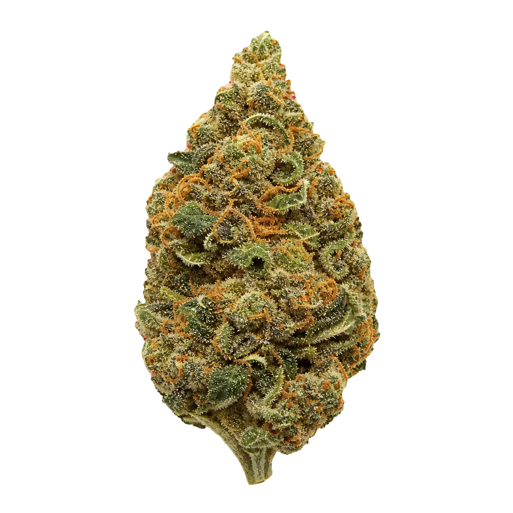 ZOIKS 33/1 LKV2 Lime Kush 2.0