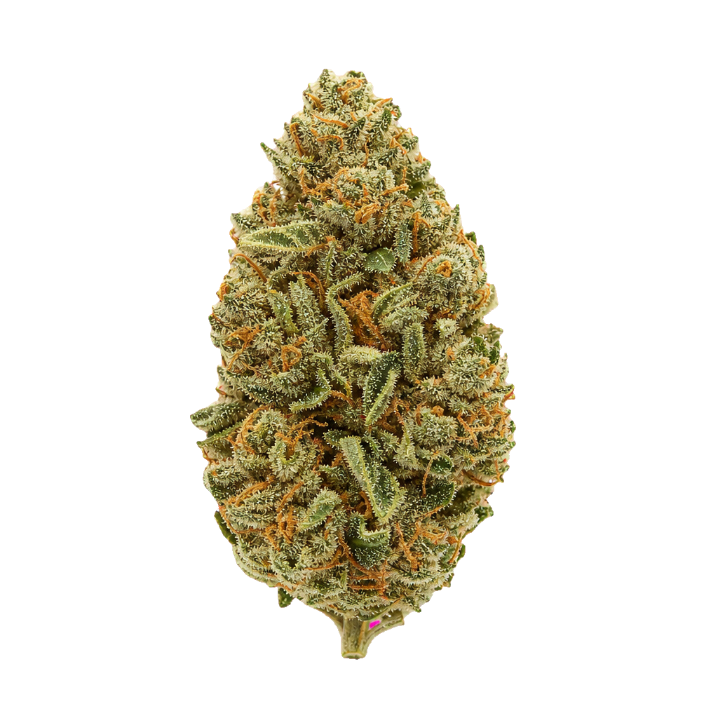 Gorilla's Chocolate