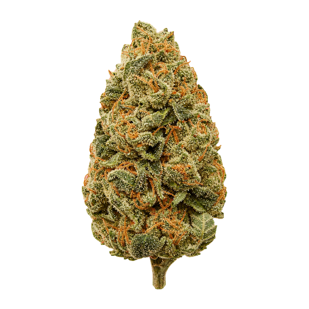 Tangerine Dream