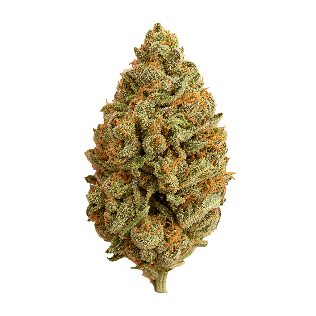 Produkt MED KUSH RELAX PHSOF 30/1 Strong Orange Fritter