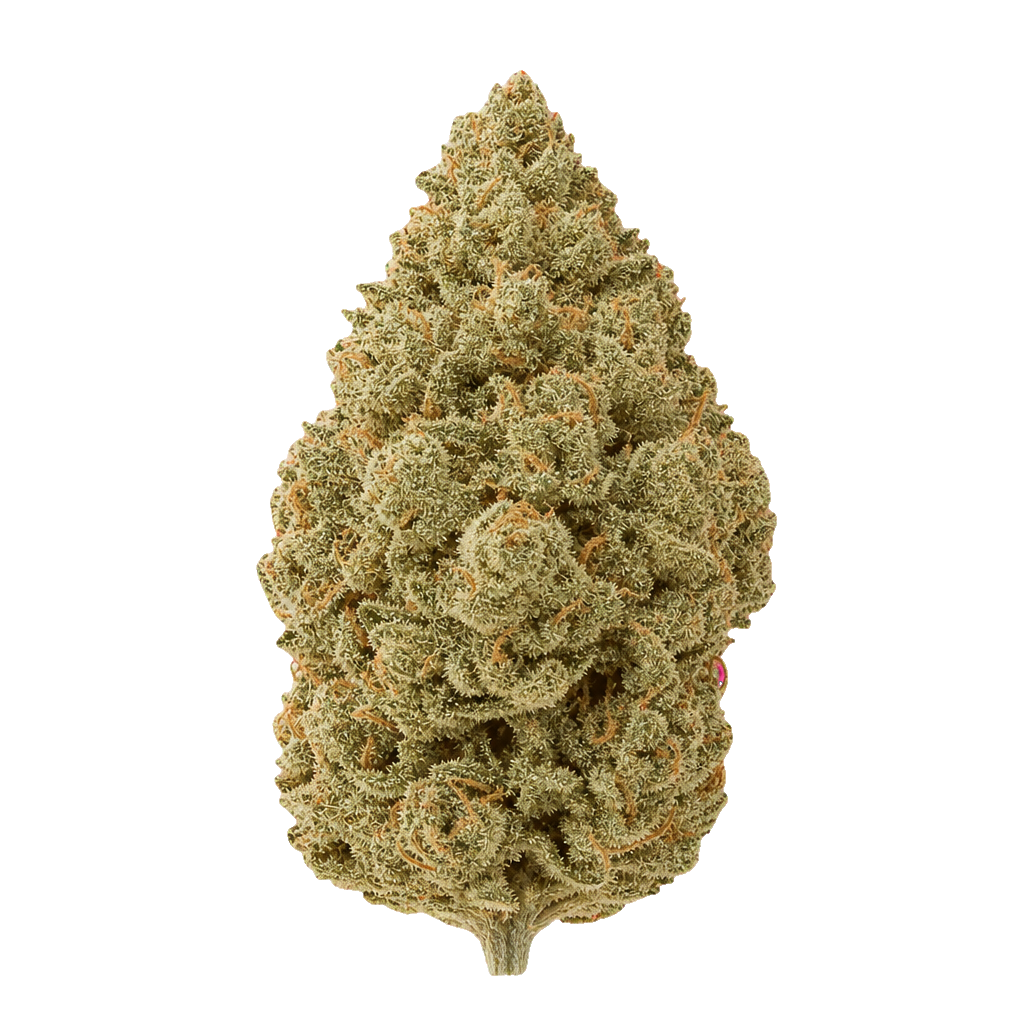 Pink Gas