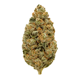 San Raf 27/1 PNK "Pink OG Kush"