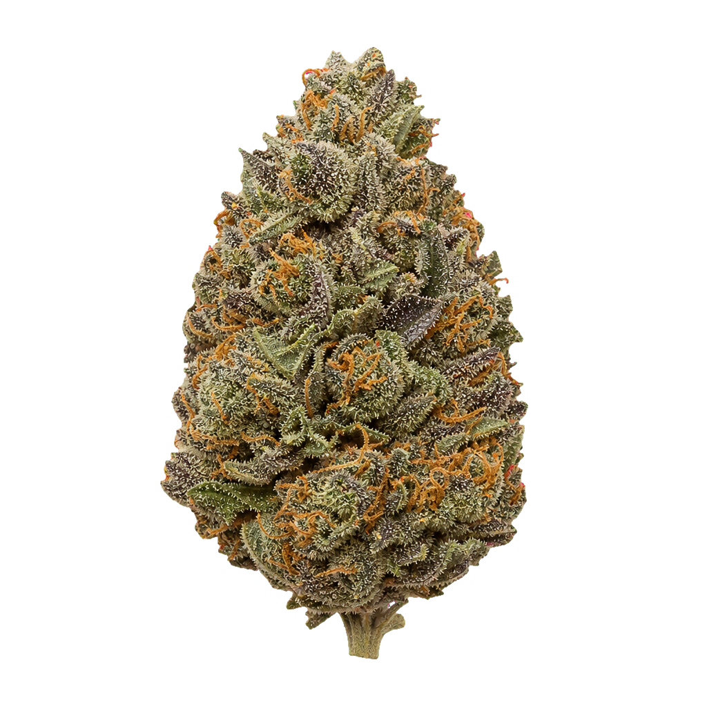 Gelato Crust
