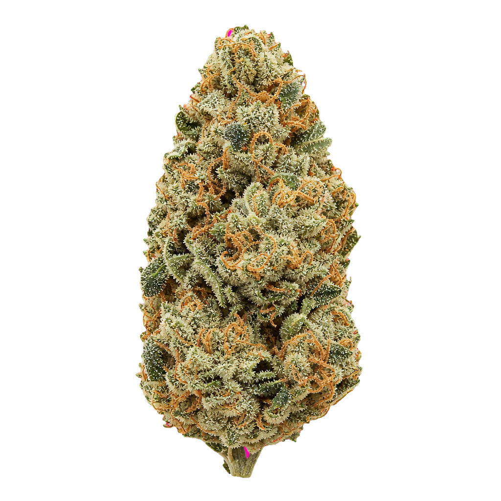 Amnesia Zkittlez