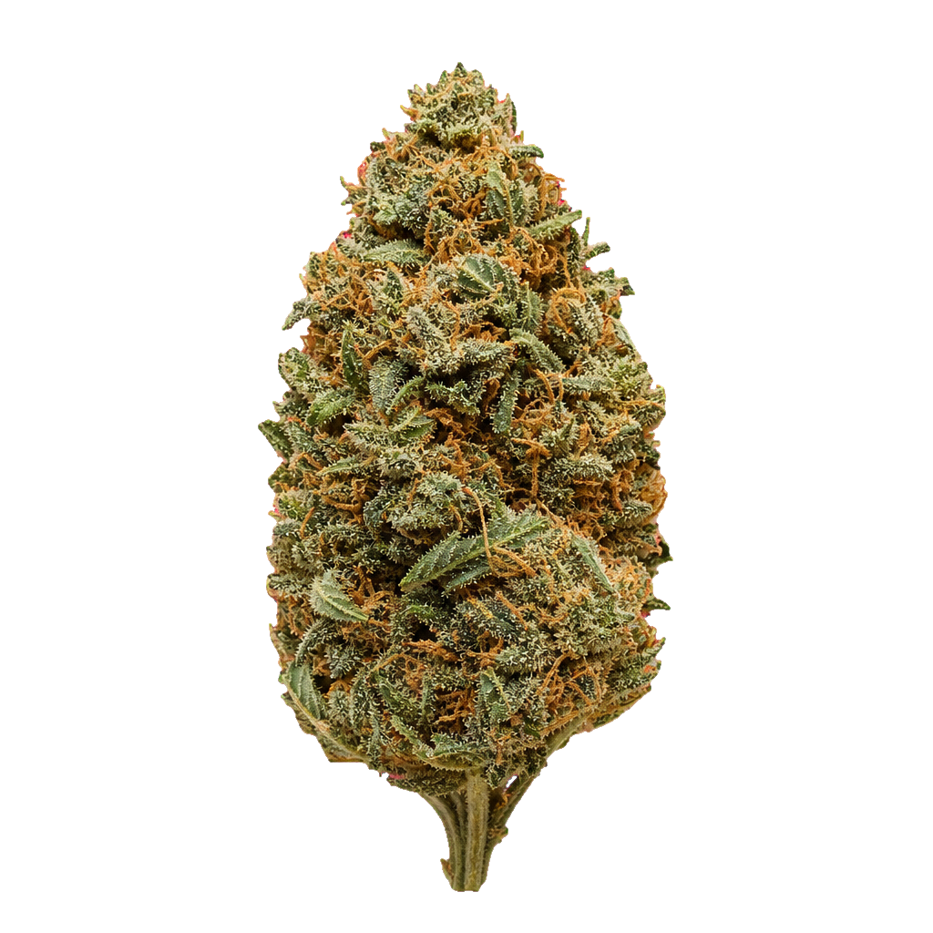 Sour OG Kush
