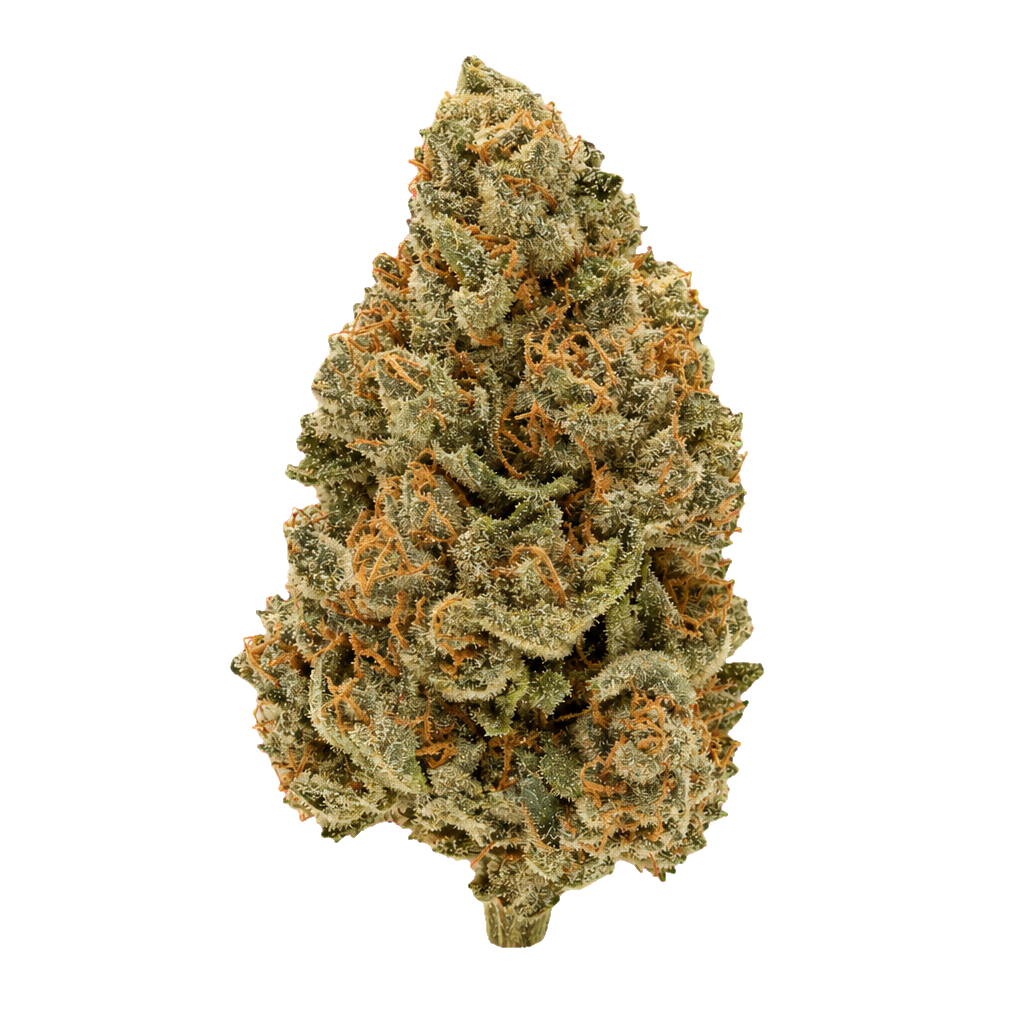 Critical Orange Punch