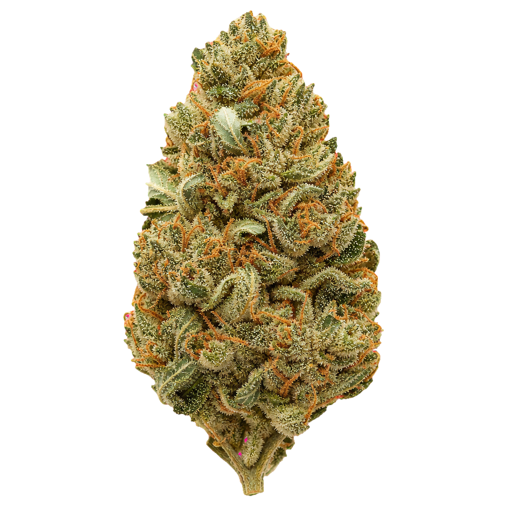 Nothern Lime Pie