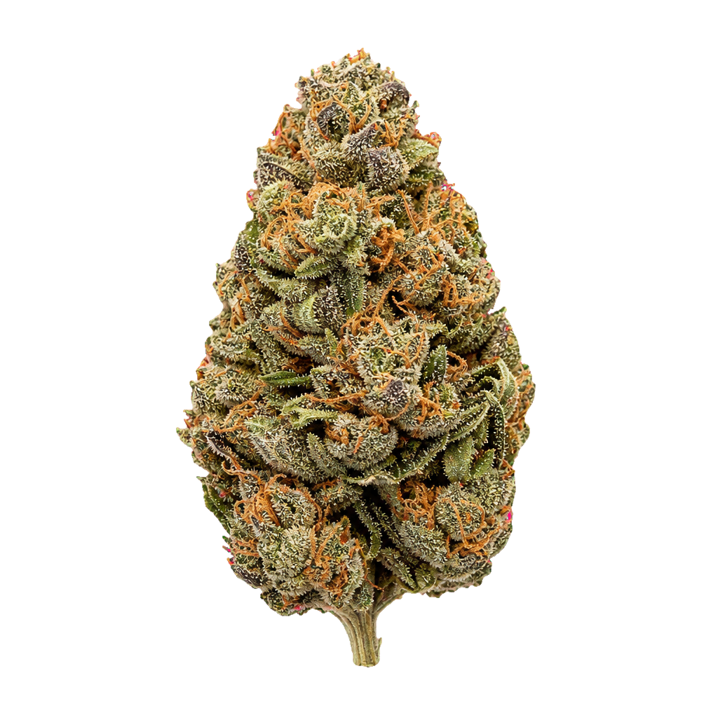 Lilac Diesel