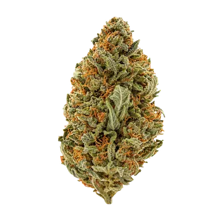 Zoiks 22/1 SLD "Sun Lemon Diesel"