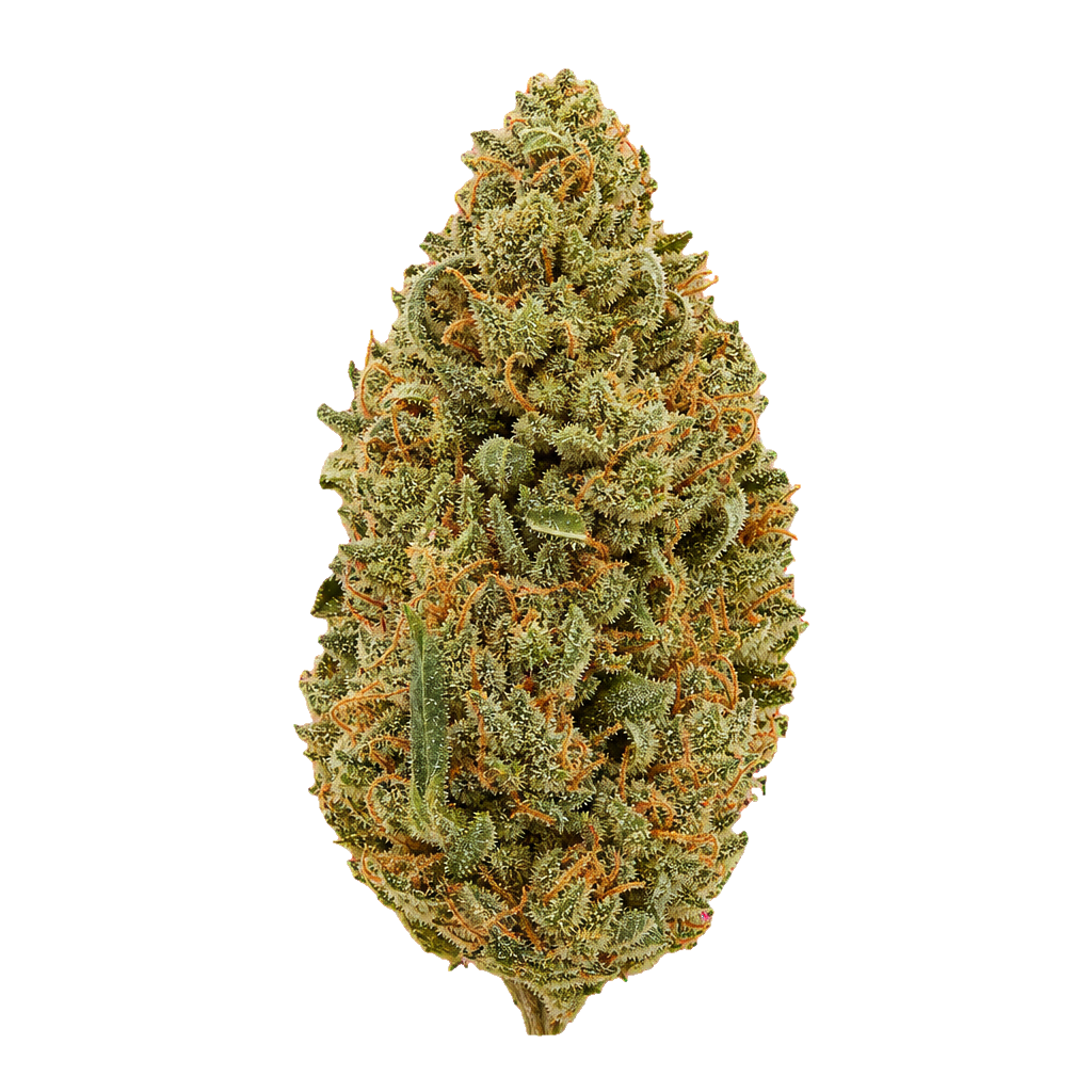 Jet Fuel Funk