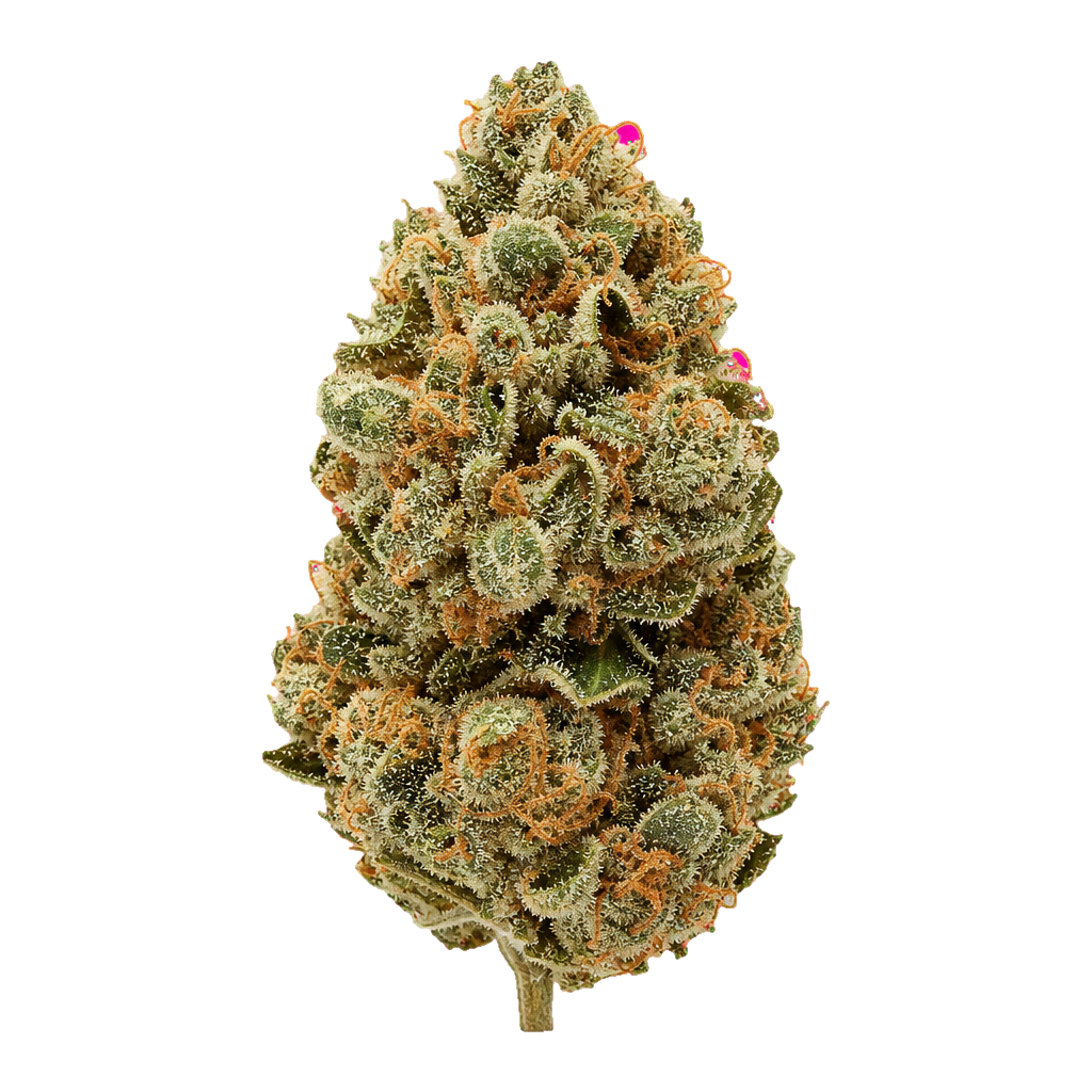 Girl Scout Cookies