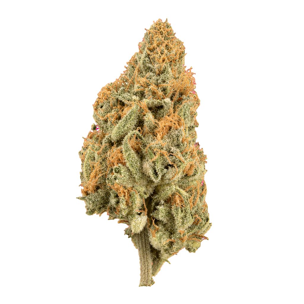OG Lime Kush