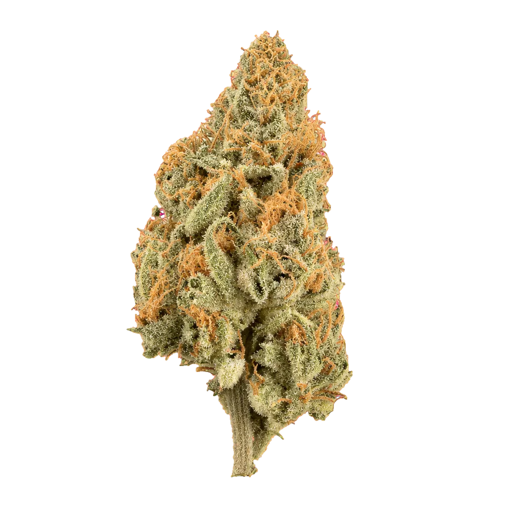ZOIKS 22/1 LK OG Lime Kush