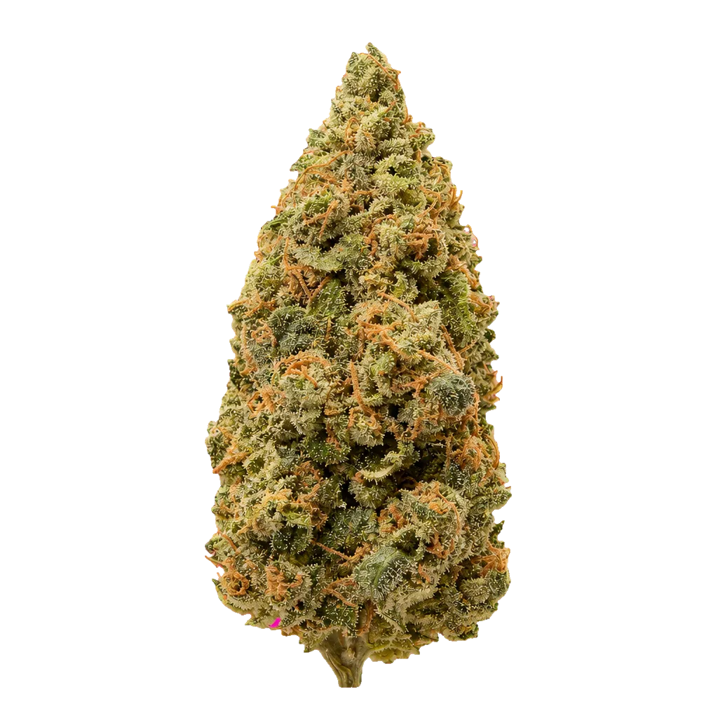 ZOIKS 22/1 SF Sourflare