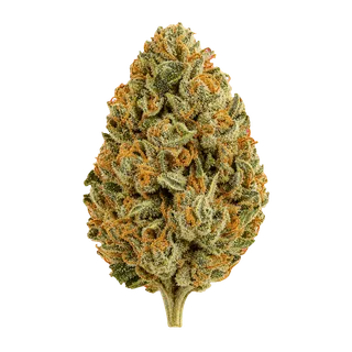 enua 27/1 CYM CA – Cherry Mint