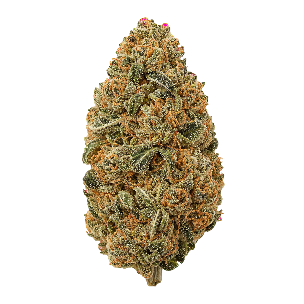 Gorilla Glue