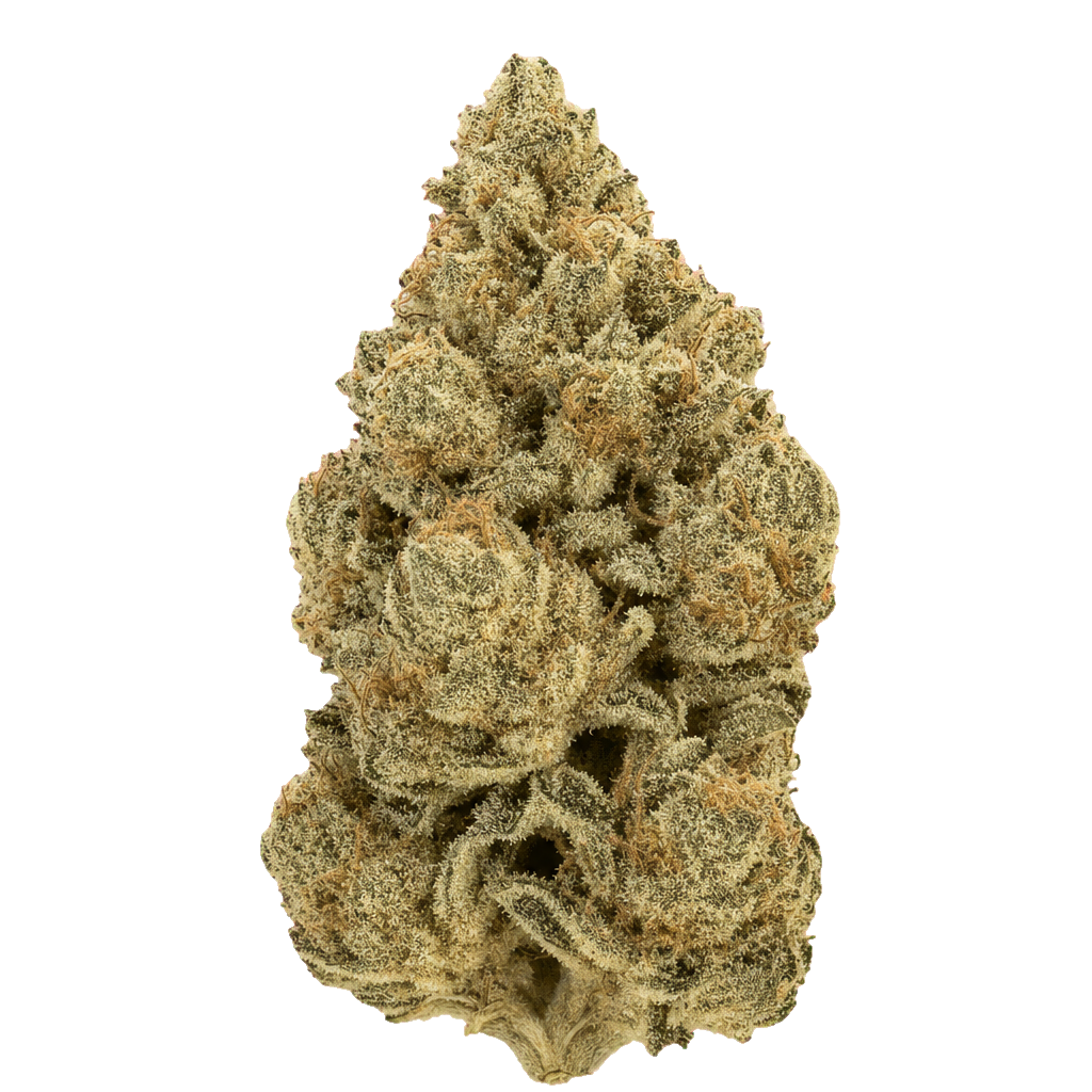 GAS