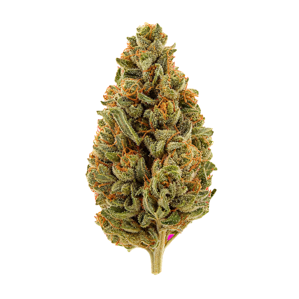 Dragon Berry Kush