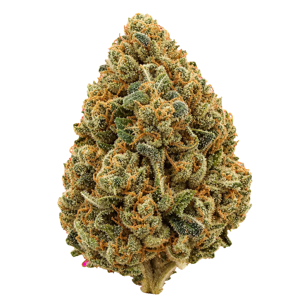 Cannamedical Hybrid Ultimate SF ABK Afghan Bubba Kush