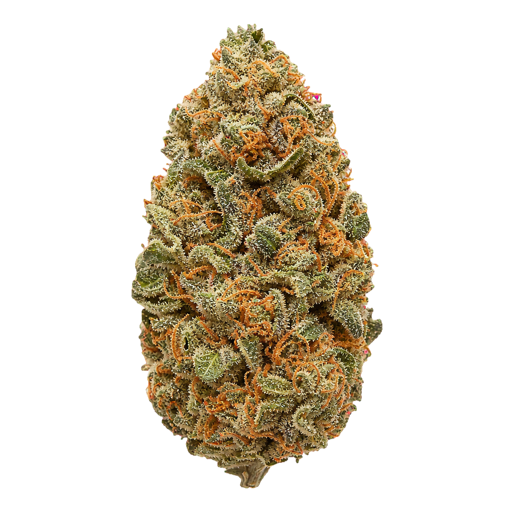 Orange Sherbet