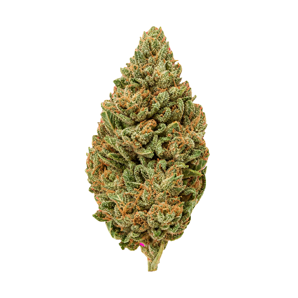 Black Amber