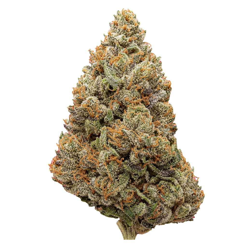 Cosmic Gas