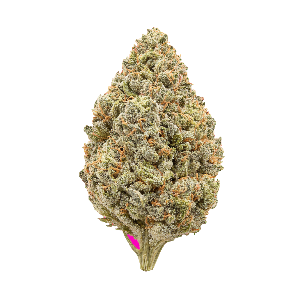 Siggis Waldbeerblüte