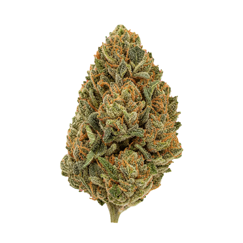 Starhaze OG