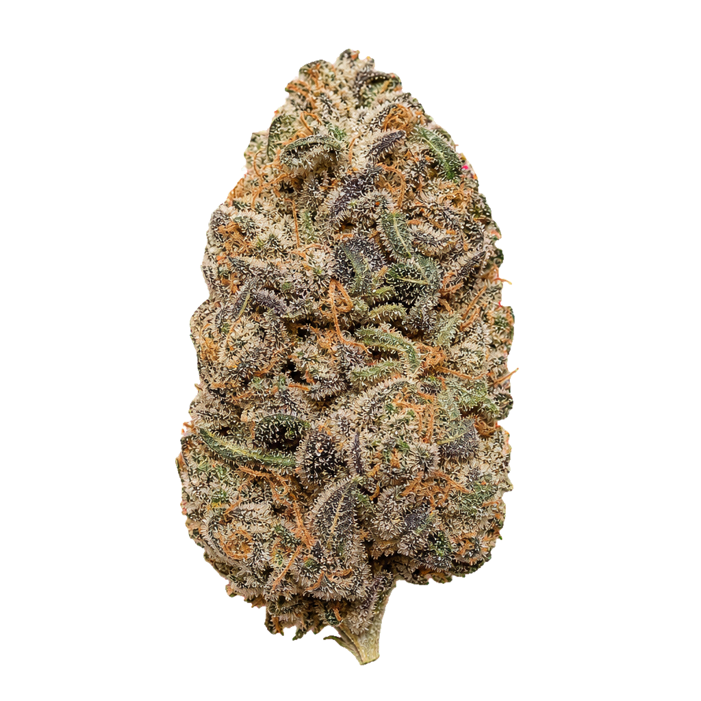 Frosted Platin Girl