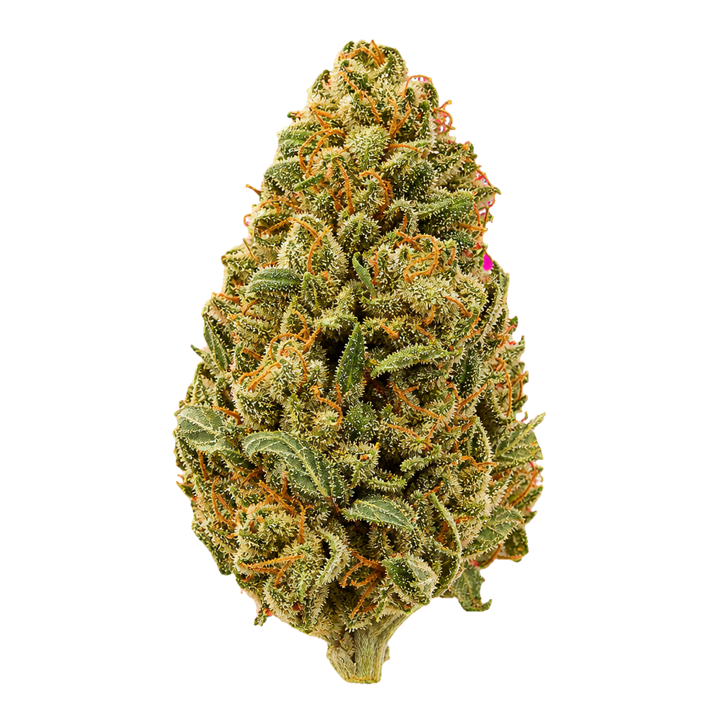 Sour Mintz Haze