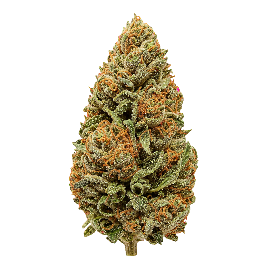 Super Lemon Haze