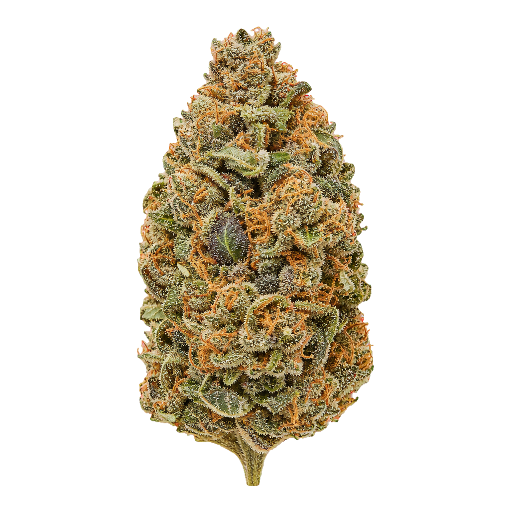 Grapefruit Purple Punch