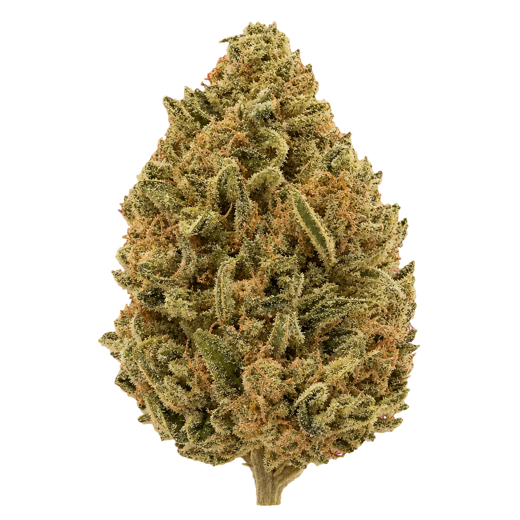 Luana 20/1 Rainbow Papaya Bomb