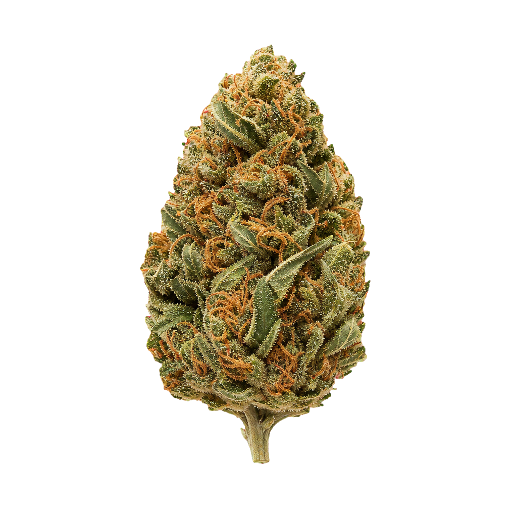Grape Galena