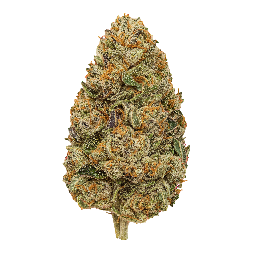 Cosmic Gas