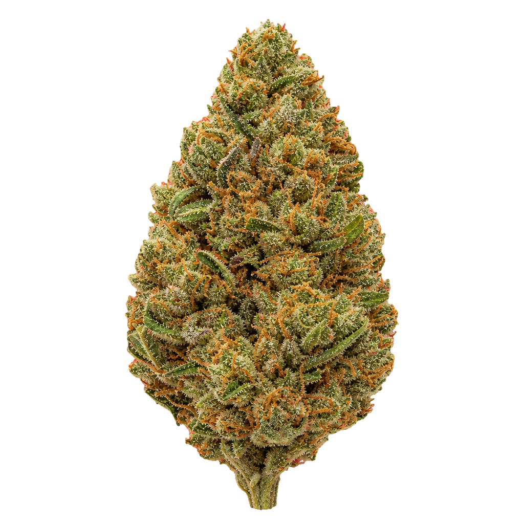 GMO Zkittlez